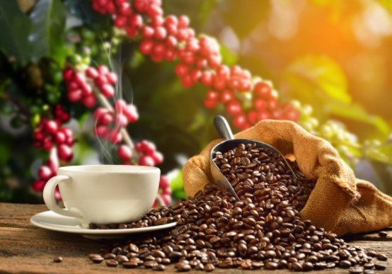 10 razones saludables para tomar caf